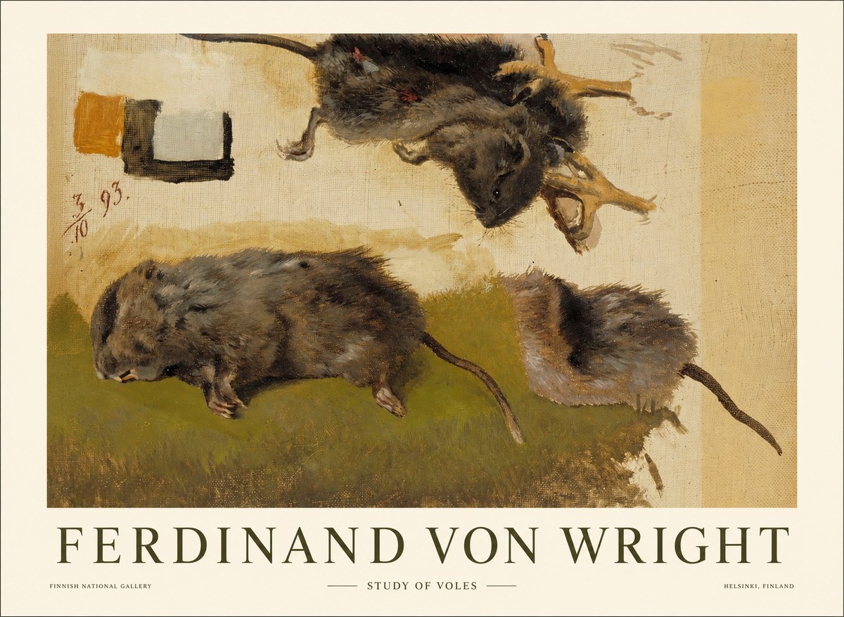 Ferdinand von Wright Studies of Lemmings No2 - Plakát