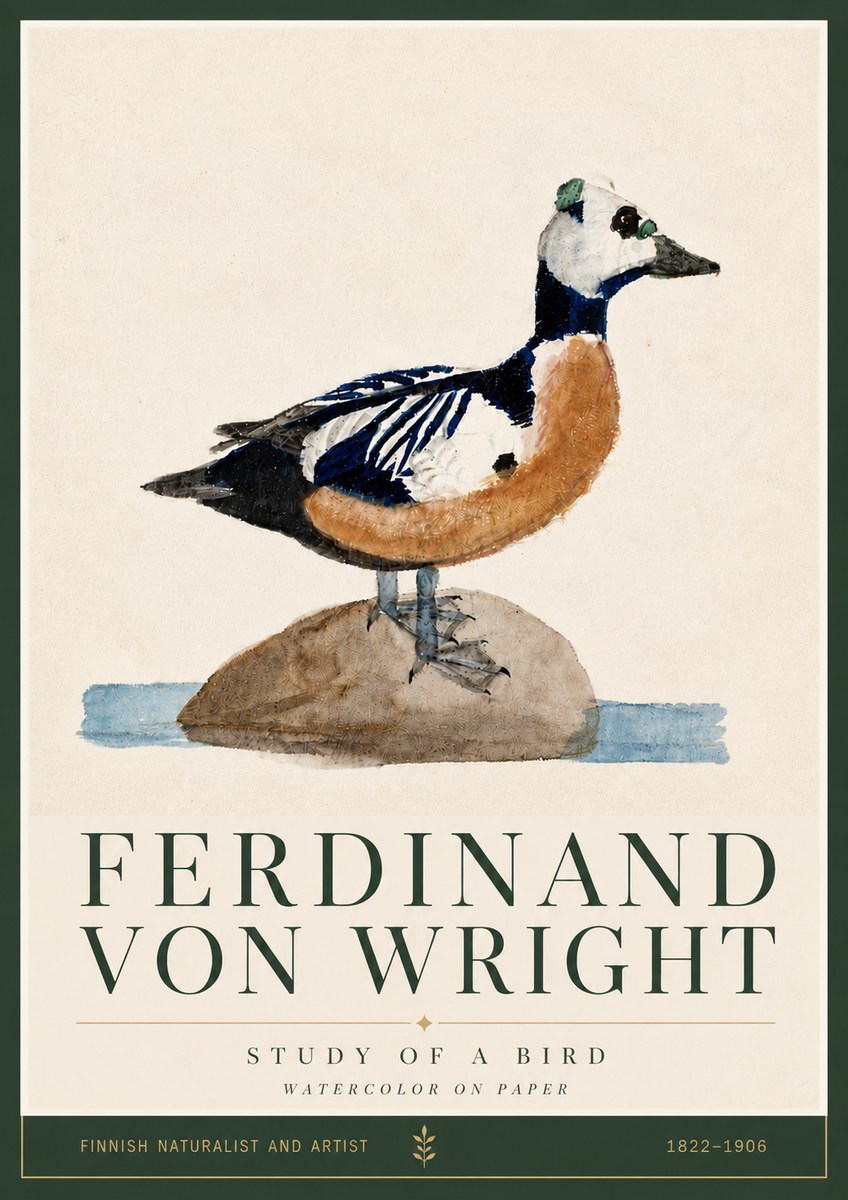Ferdinand von Wright Study of a Bird No5 - Plakát