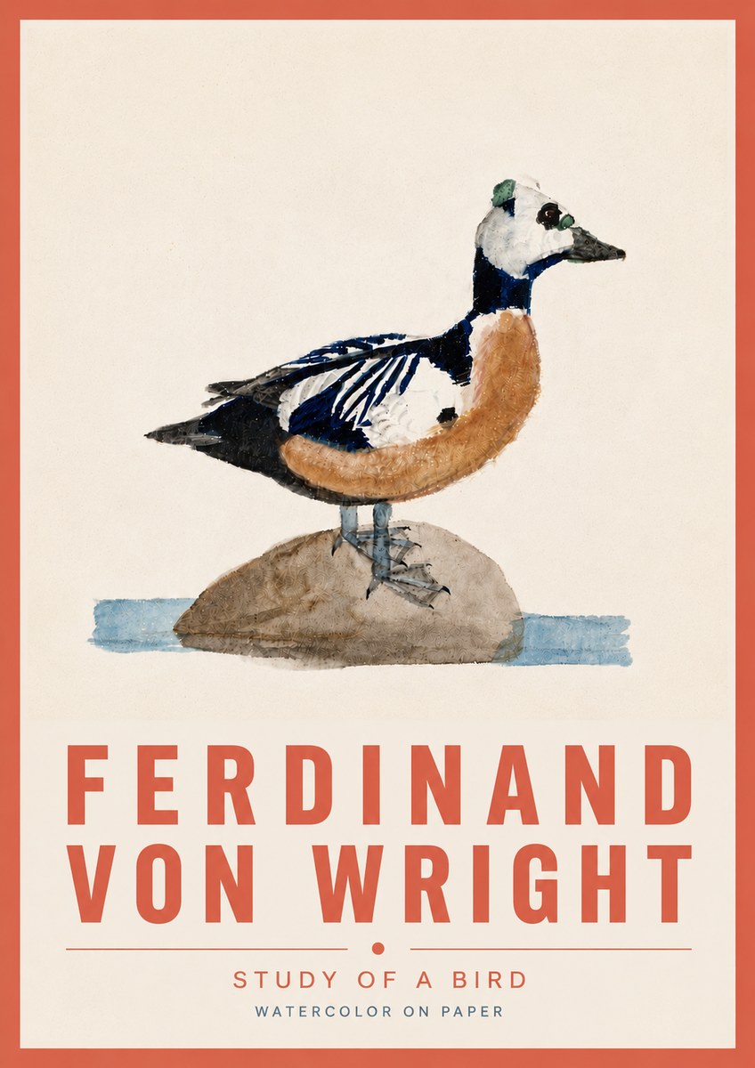 Ferdinand von Wright Study of a Bird No6 - Plakát