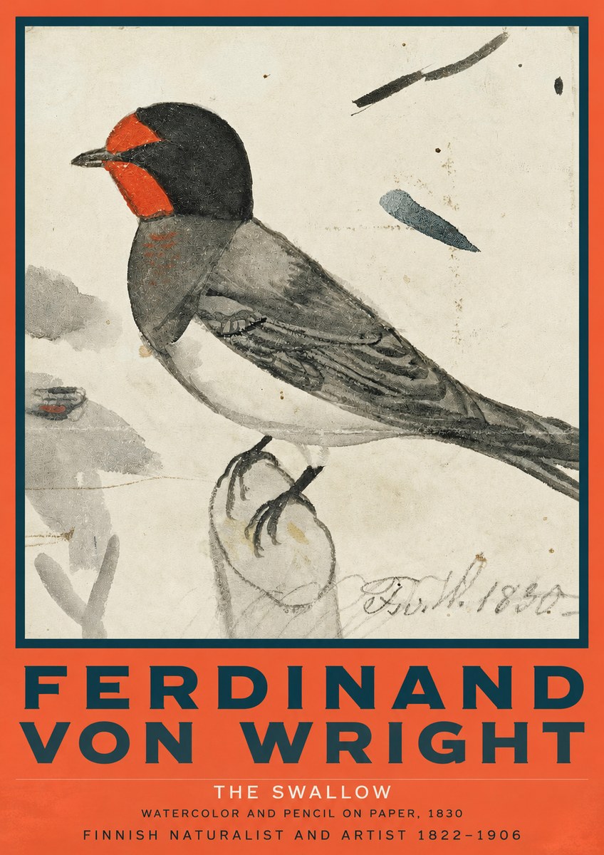 Ferdinand von Wright The Swallow No2 - Plakát