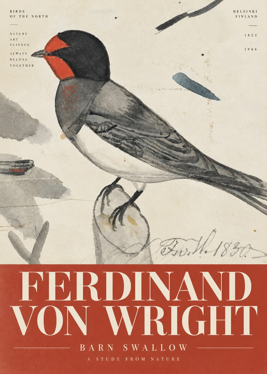 Ferdinand von Wright The Swallow No6 - Plakát