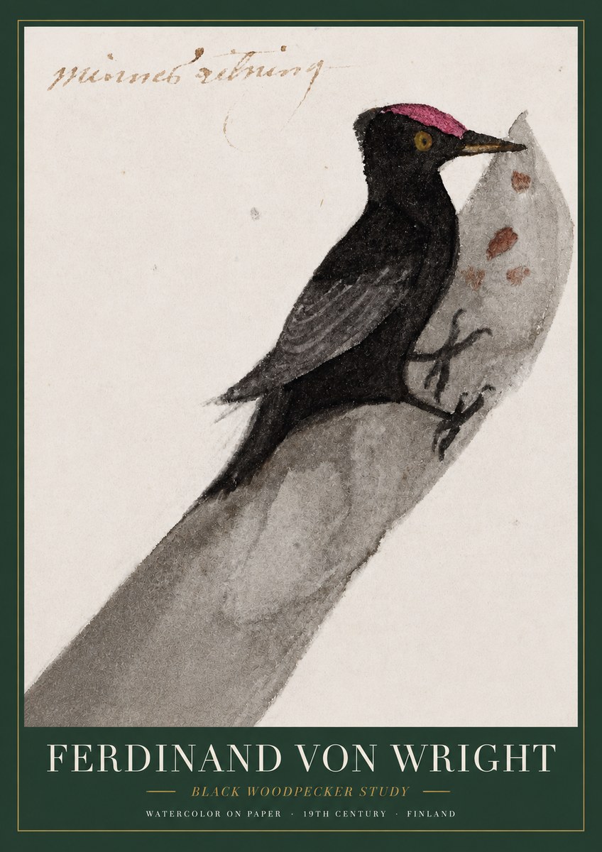 Ferdinand von Wright Black Woodpecker Study No3 - Plakát