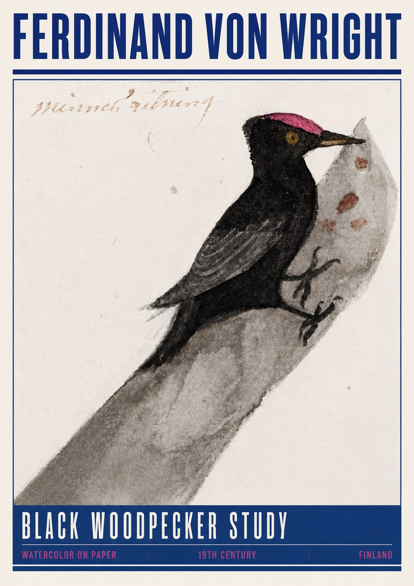 Ferdinand von Wright Black Woodpecker Study No4 - Plakát
