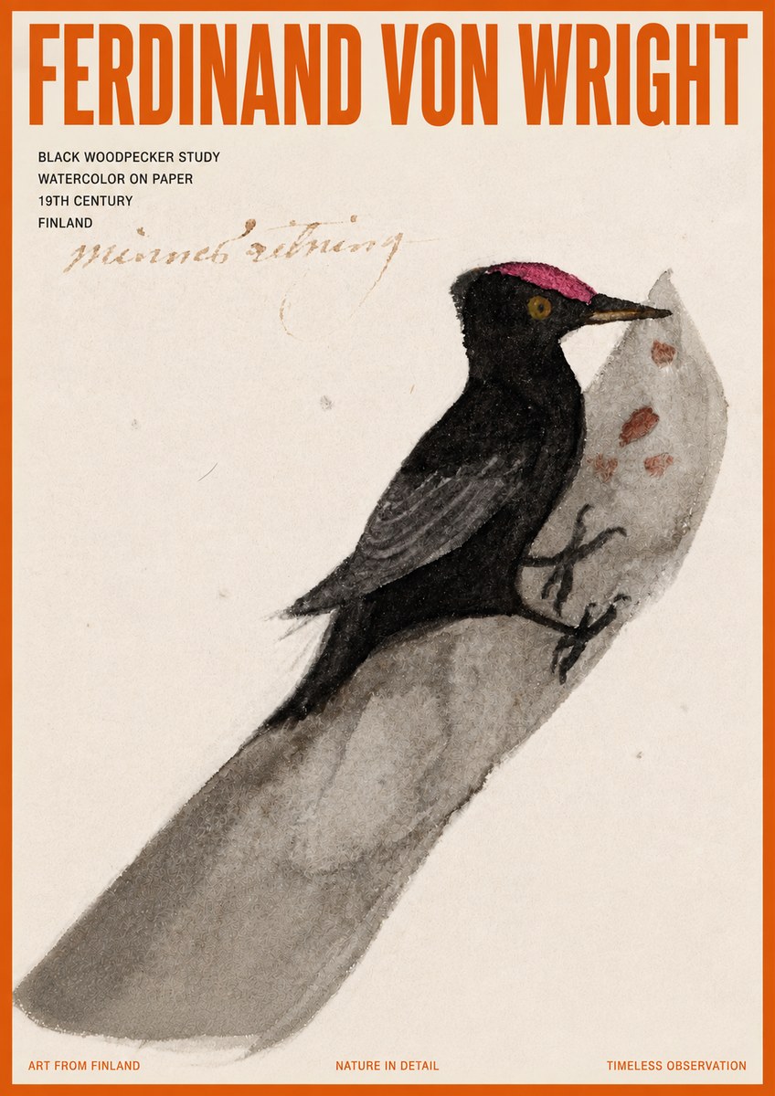 Ferdinand von Wright Black Woodpecker Study No5 - Plakát