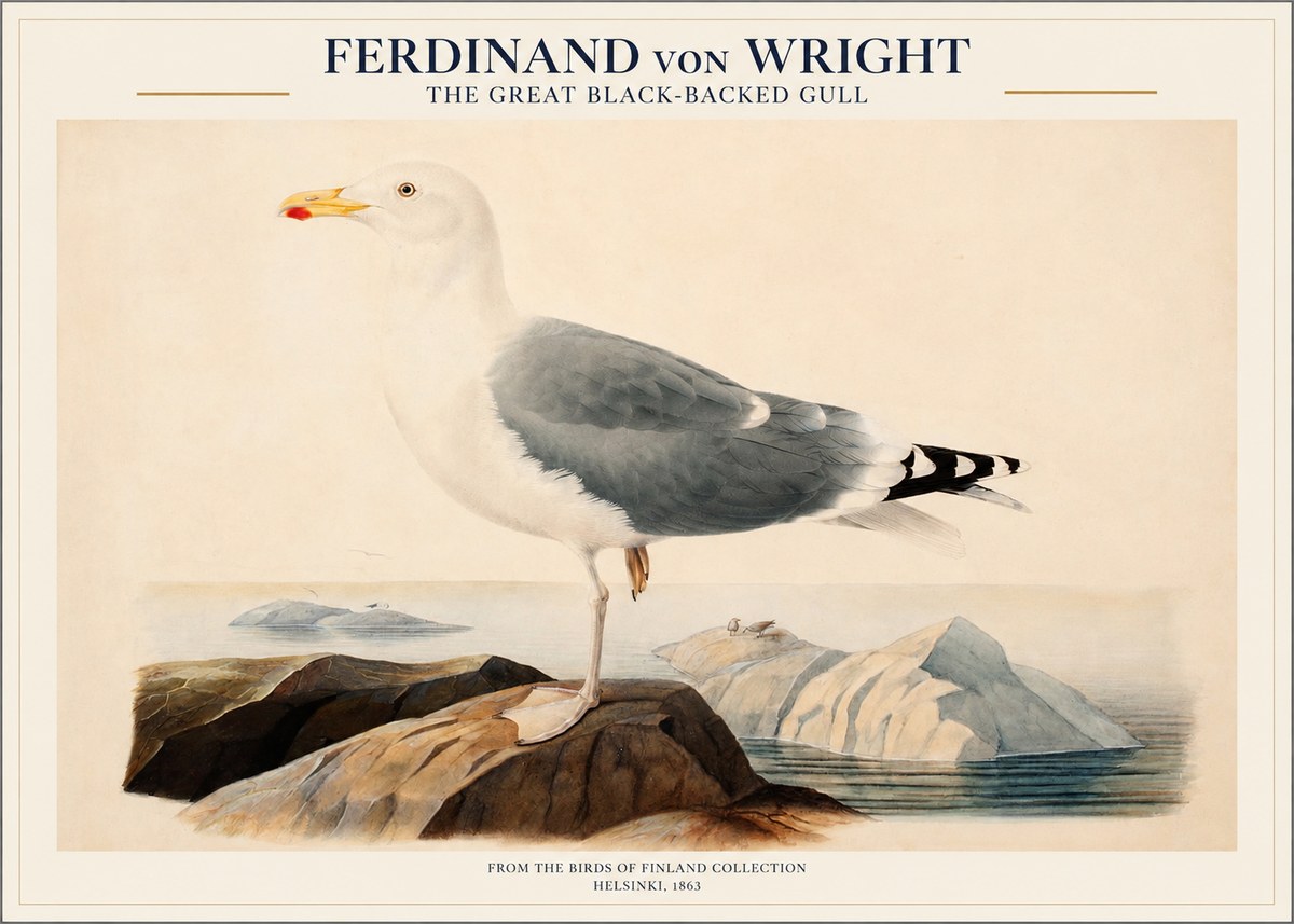 Ferdinand von Wright The Great Black-backed Gull No1 - Plakát