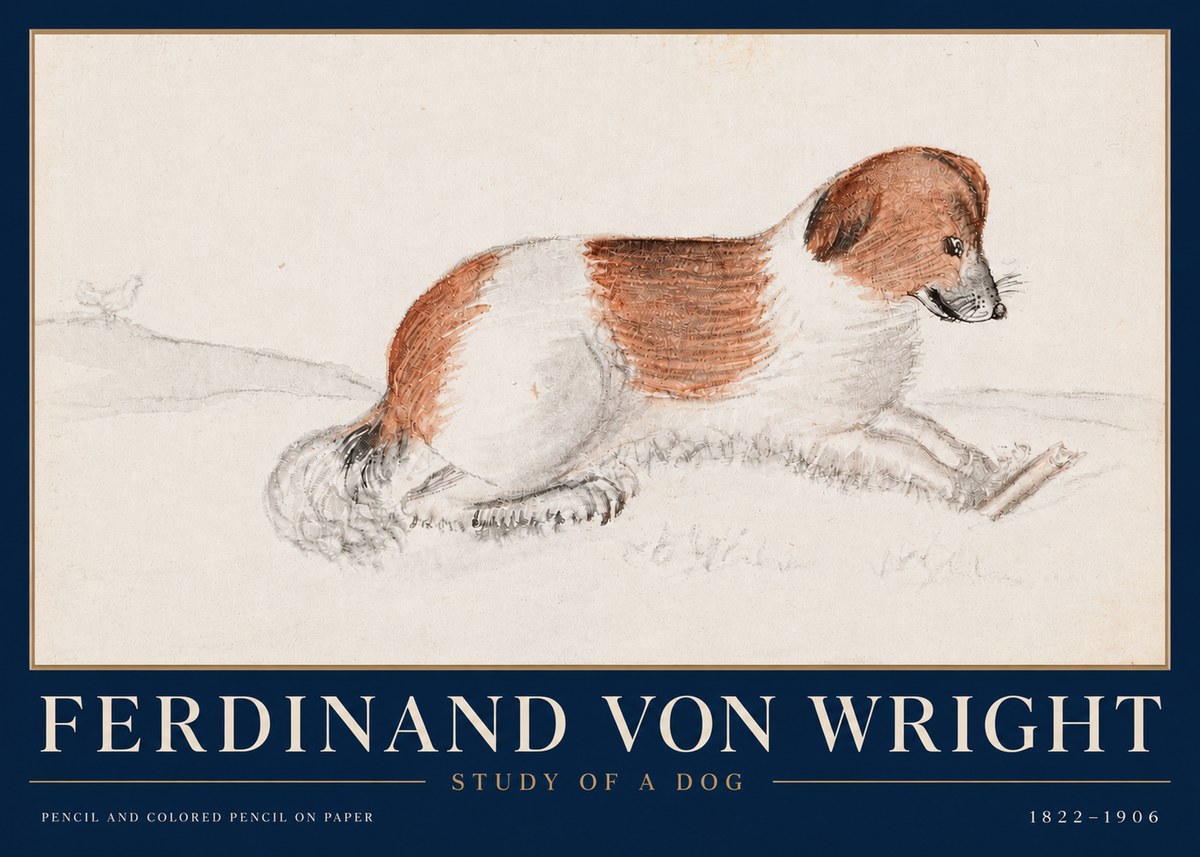 Ferdinand von Wright Study of a Dog No4 - Plakát