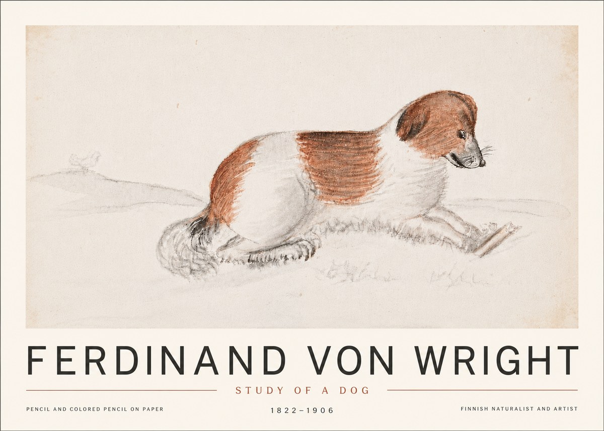Ferdinand von Wright Study of a Dog No6 - Plakát