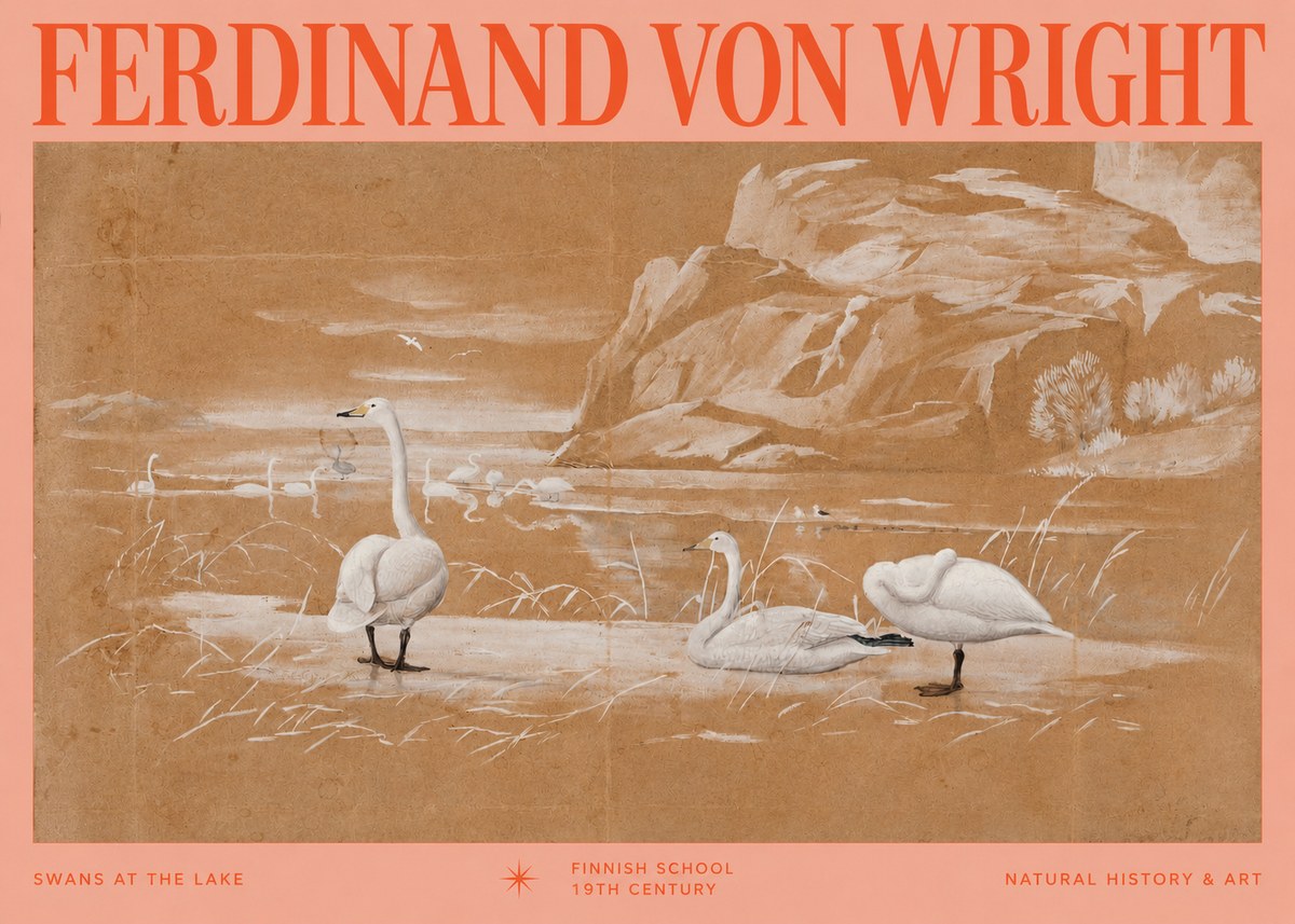 Ferdinand von Wright Swans at the Lake No2 - Plakát