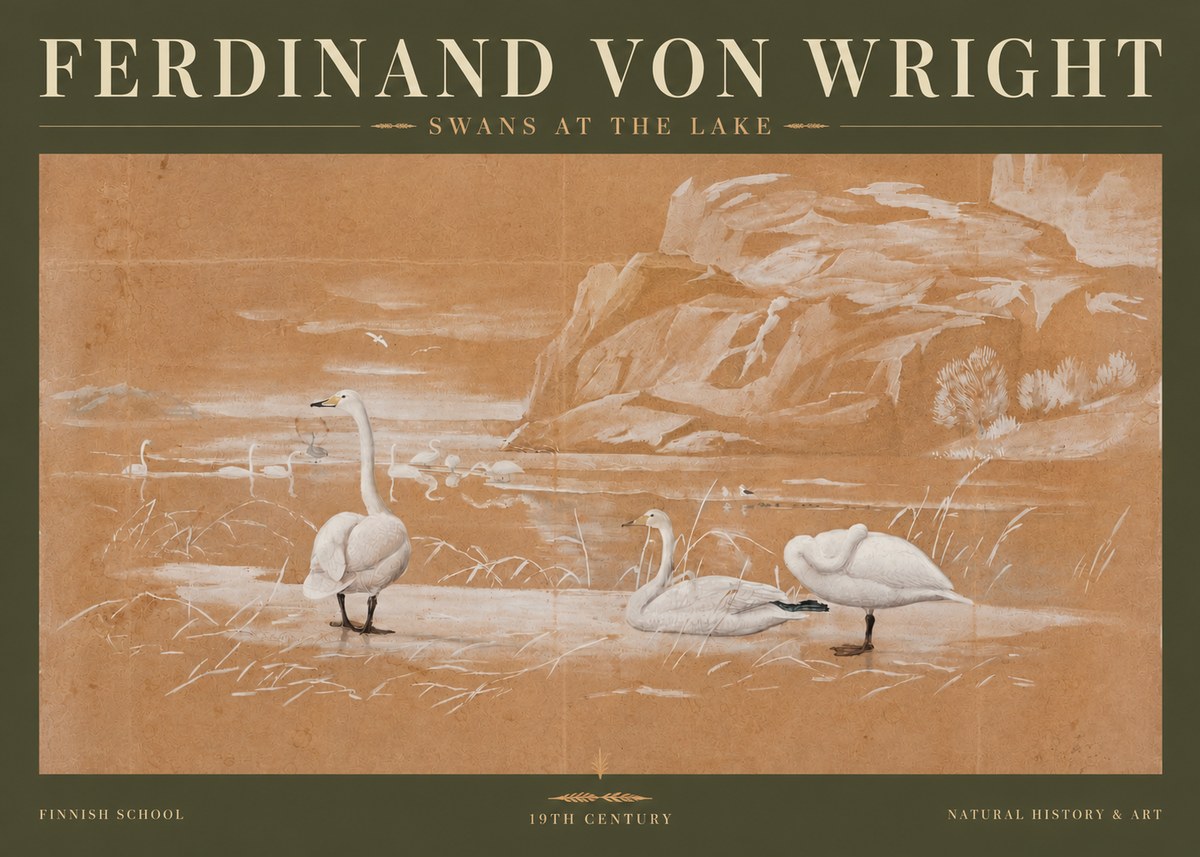 Ferdinand von Wright Swans at the Lake No3 - Plakát