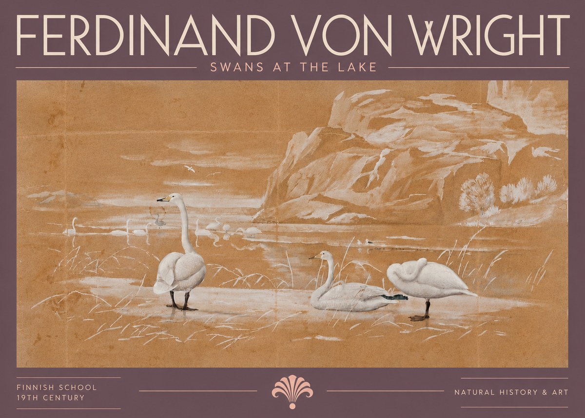Ferdinand von Wright Swans at the Lake No5 - Plakát