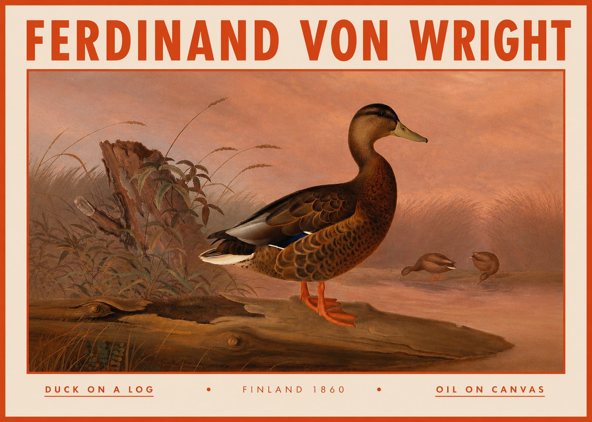 Ferdinand von Wright Wild Duck No5 - Plakát