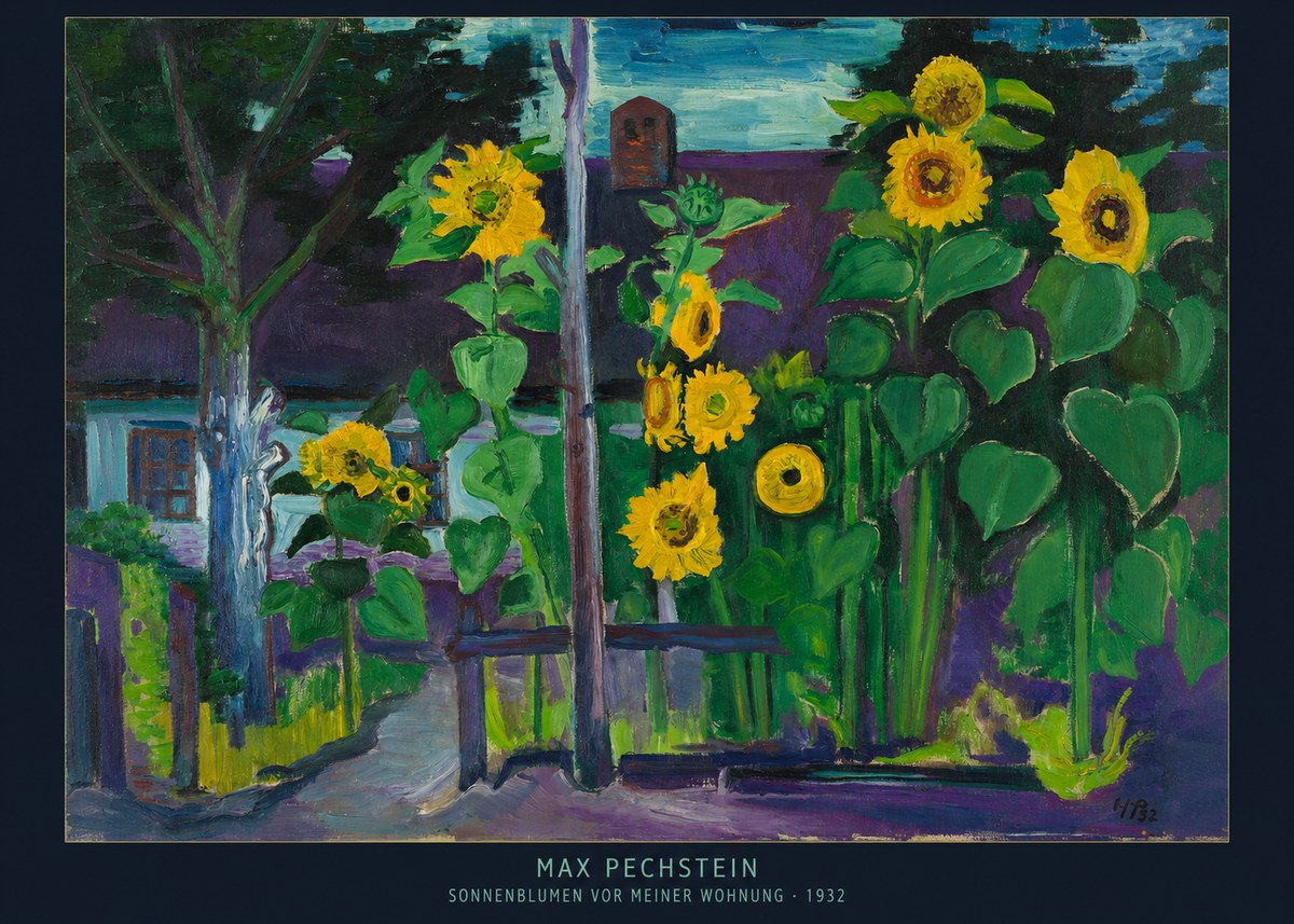 Max Pechstein Sonnenblumen Vor Meiner Wohnung No6 - Plakát