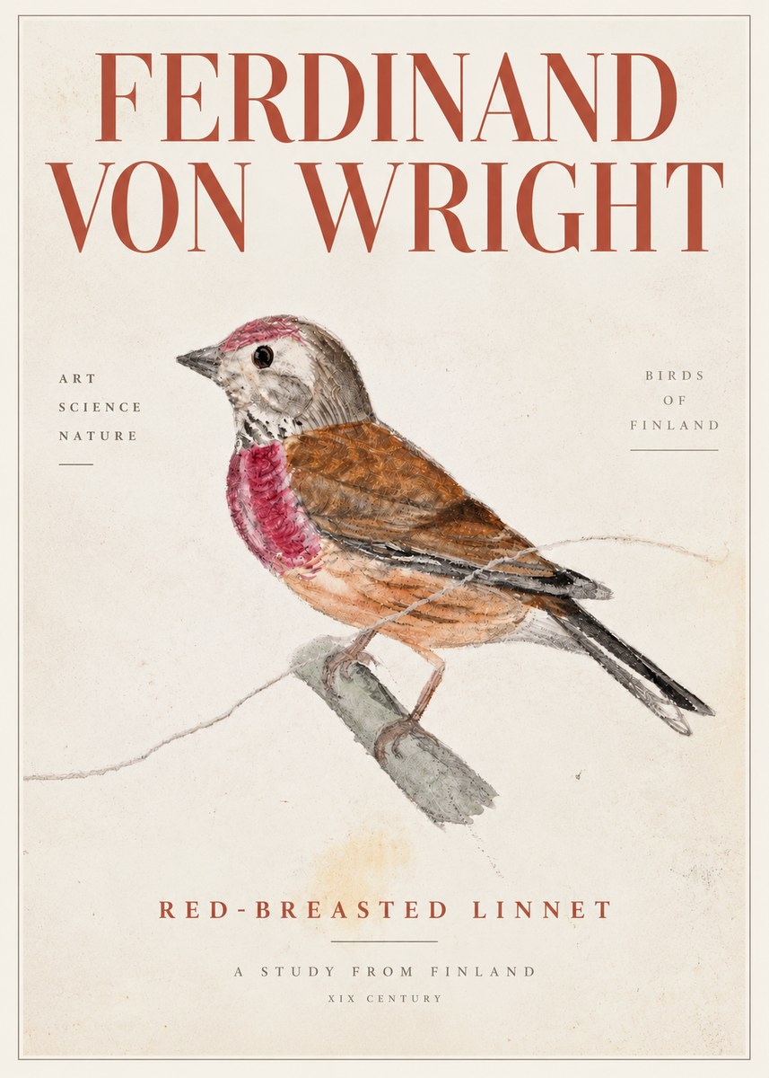 Ferdinand von Wright Bird Study No5 - Plakát